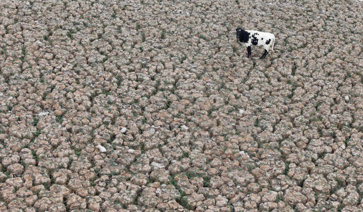 Chile's record-breaking drought makes climate change 'very easy' to see